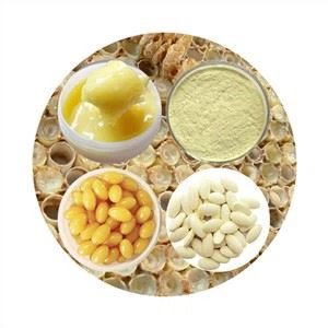 건강관리 로얄제리